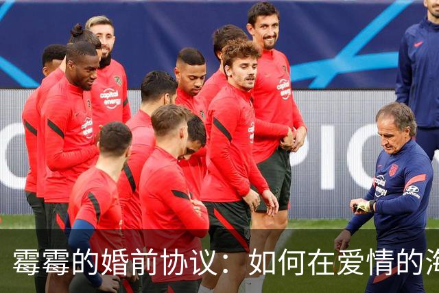 霉霉的婚前协议：如何在爱情的海洋里建起了一道防波堤
